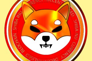 Die Trilogie Elon Musk – Twitter – Doge Coin / Shiba Inu