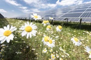 Mit der Kraft der Sonne nachhaltig produzieren: Covestro und EnBW schließen langfristigen Liefervertrag für Solarstrom ab